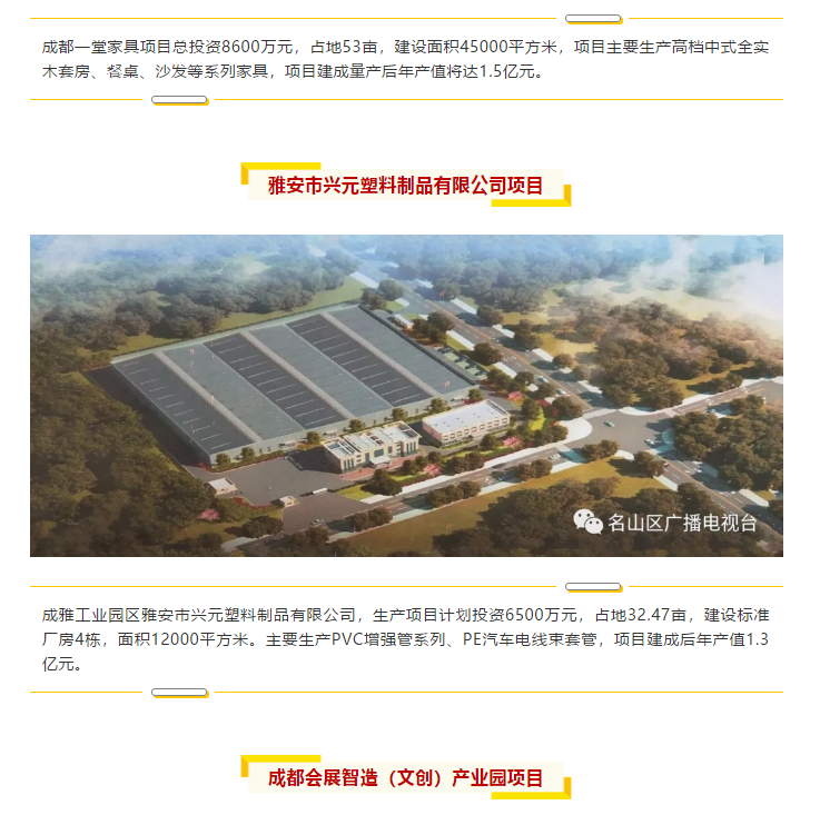 總投資157.1億元！四川省2019年第一季度重大項(xiàng)目集中開工儀式雅安分會(huì)場在成雅工業(yè)園區(qū)舉行(圖6)